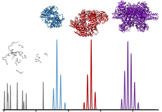 Image for homepage MS lab
