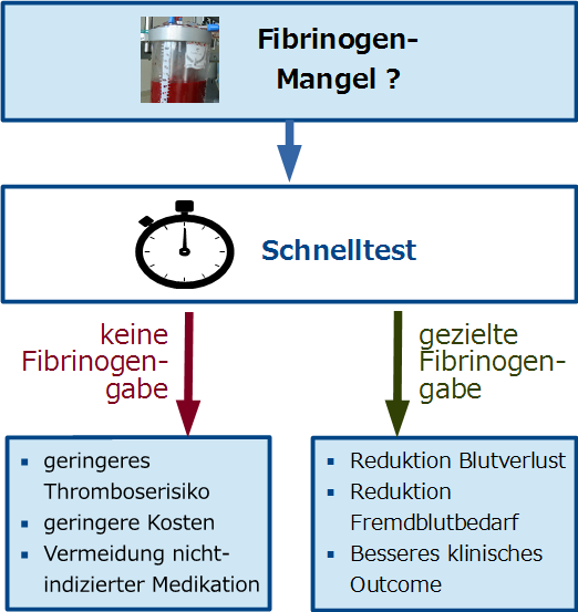 Bild: K. Schmitz